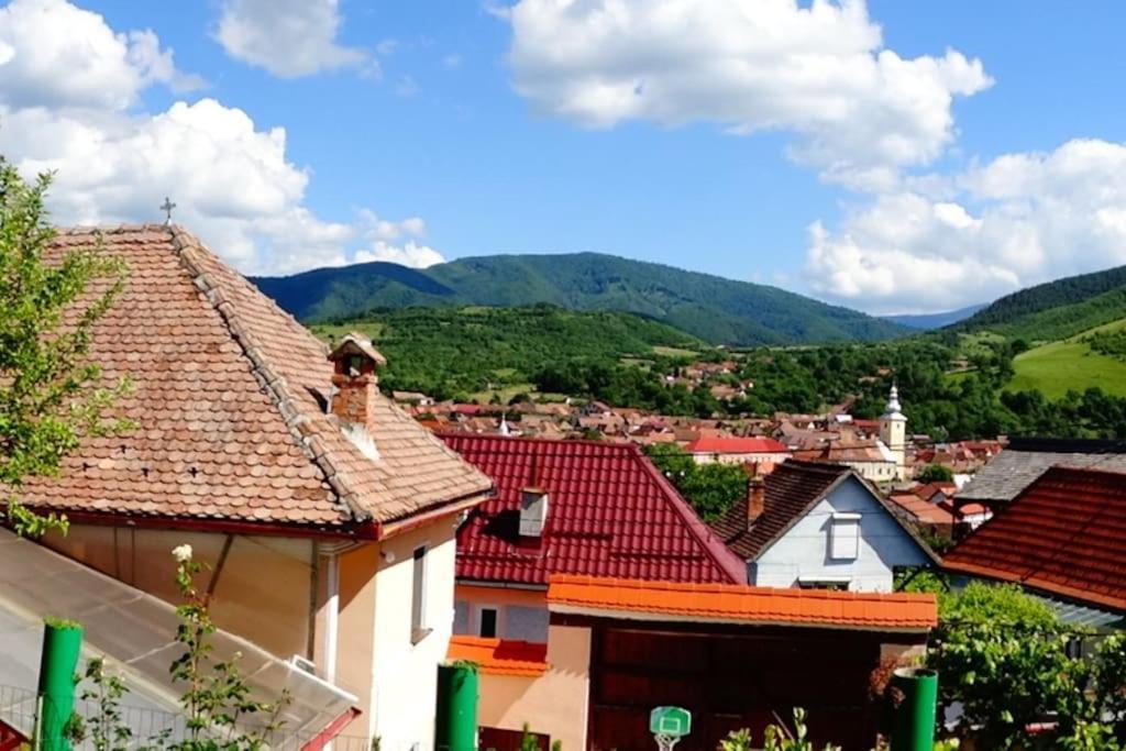 Apartament Panoramic La Casa In Comuna Răşinari 외부 사진