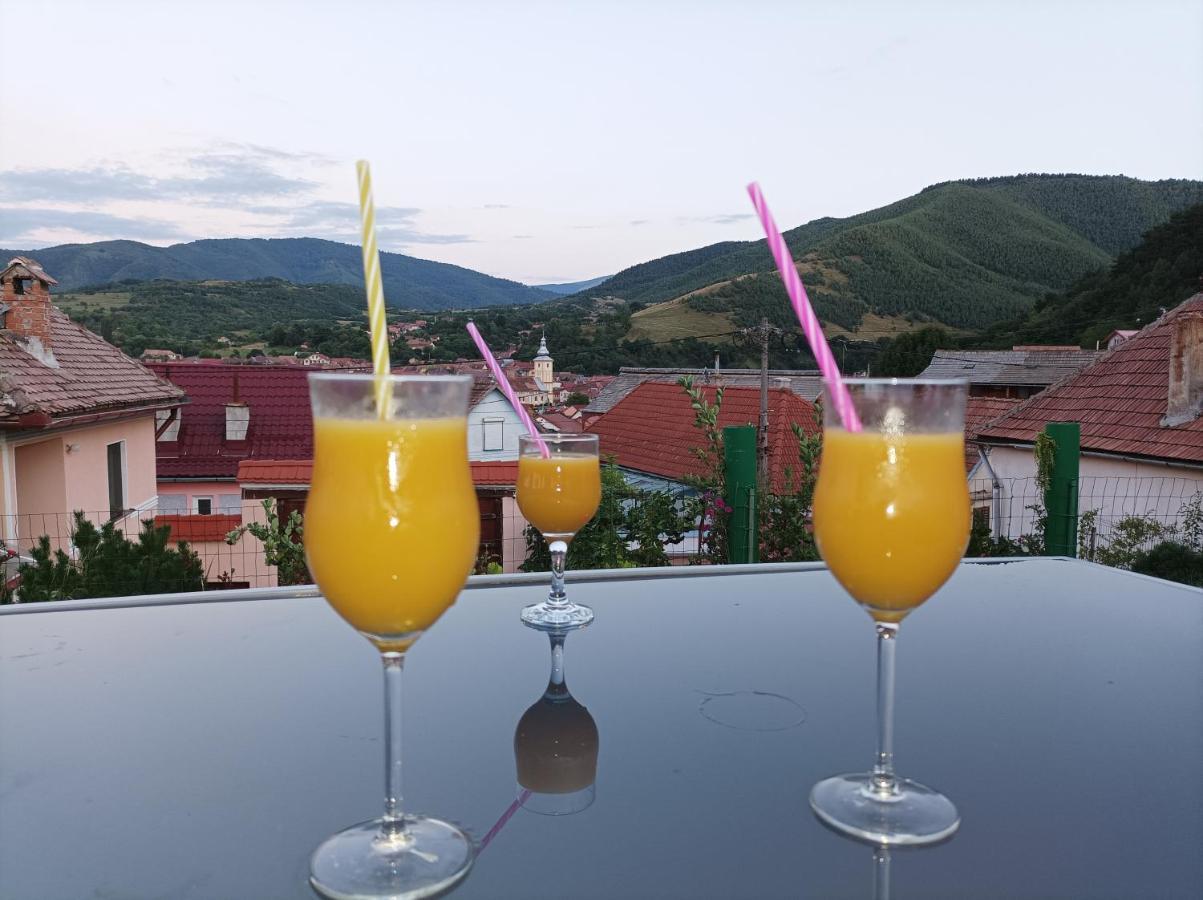 Apartament Panoramic La Casa In Comuna Răşinari 외부 사진