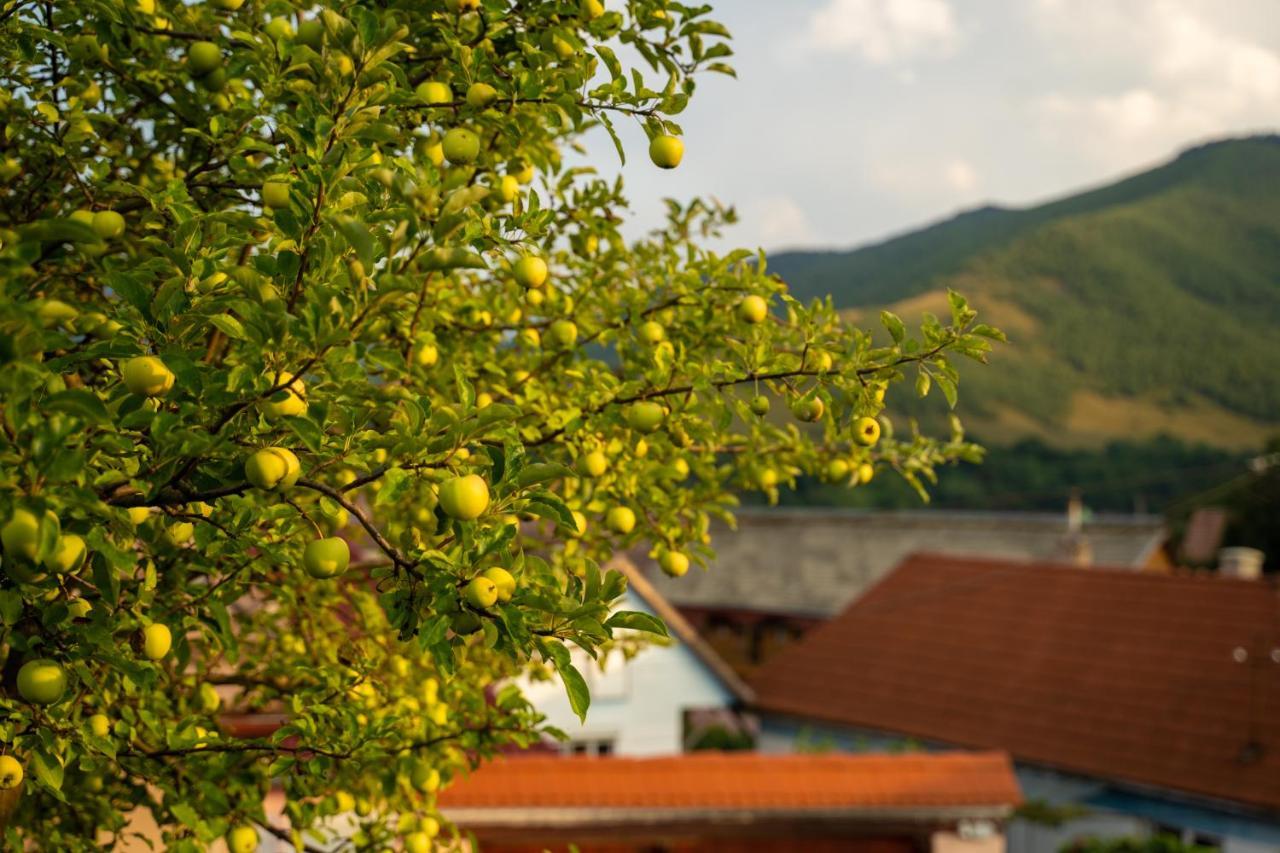 Apartament Panoramic La Casa In Comuna Răşinari 외부 사진