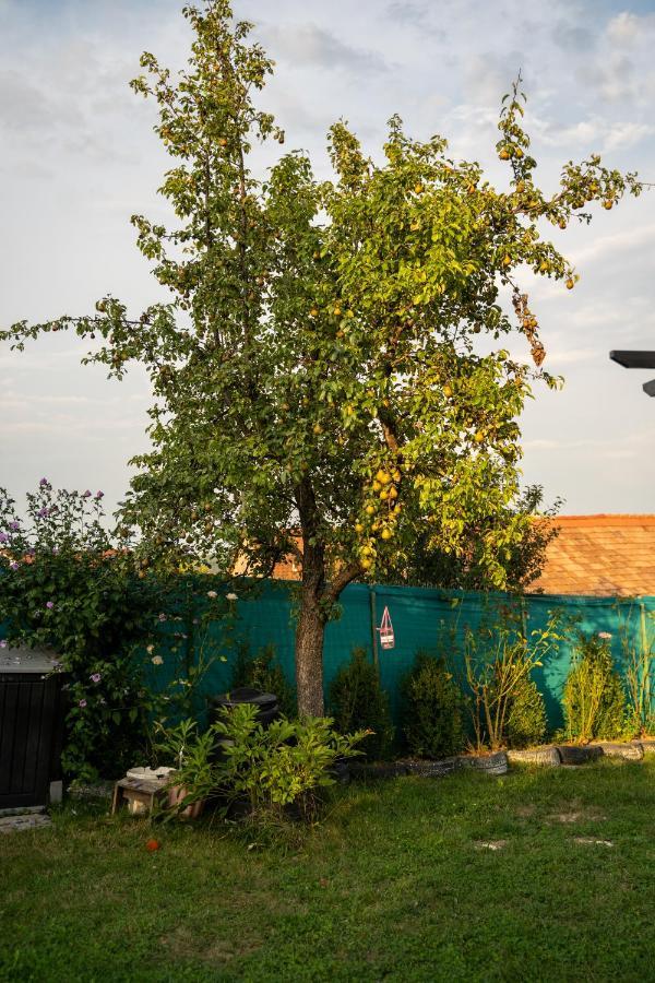 Apartament Panoramic La Casa In Comuna Răşinari 외부 사진